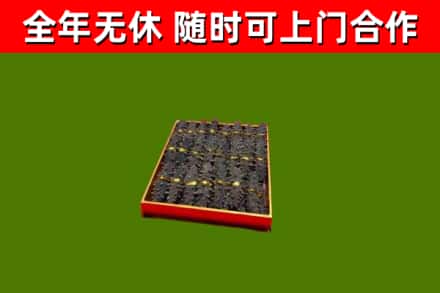 永城回收海参